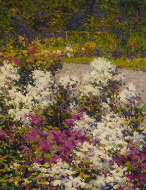 Hugh Henry Breckenridge White Phlox